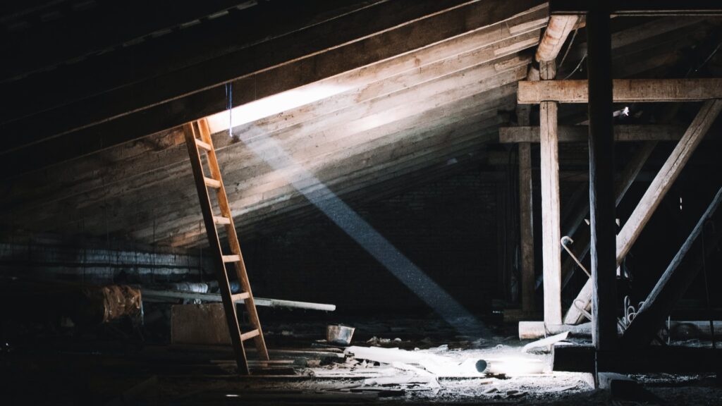 Фото: unsplash.com.