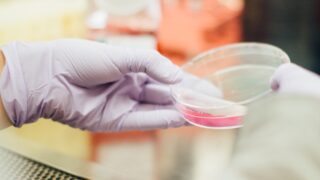 Новая причина возникновения болезни Паркинсона обнаружена