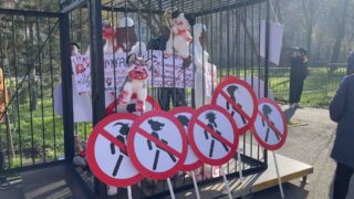 Около 600 человек собрались на антинасильственном митинге в Алматы