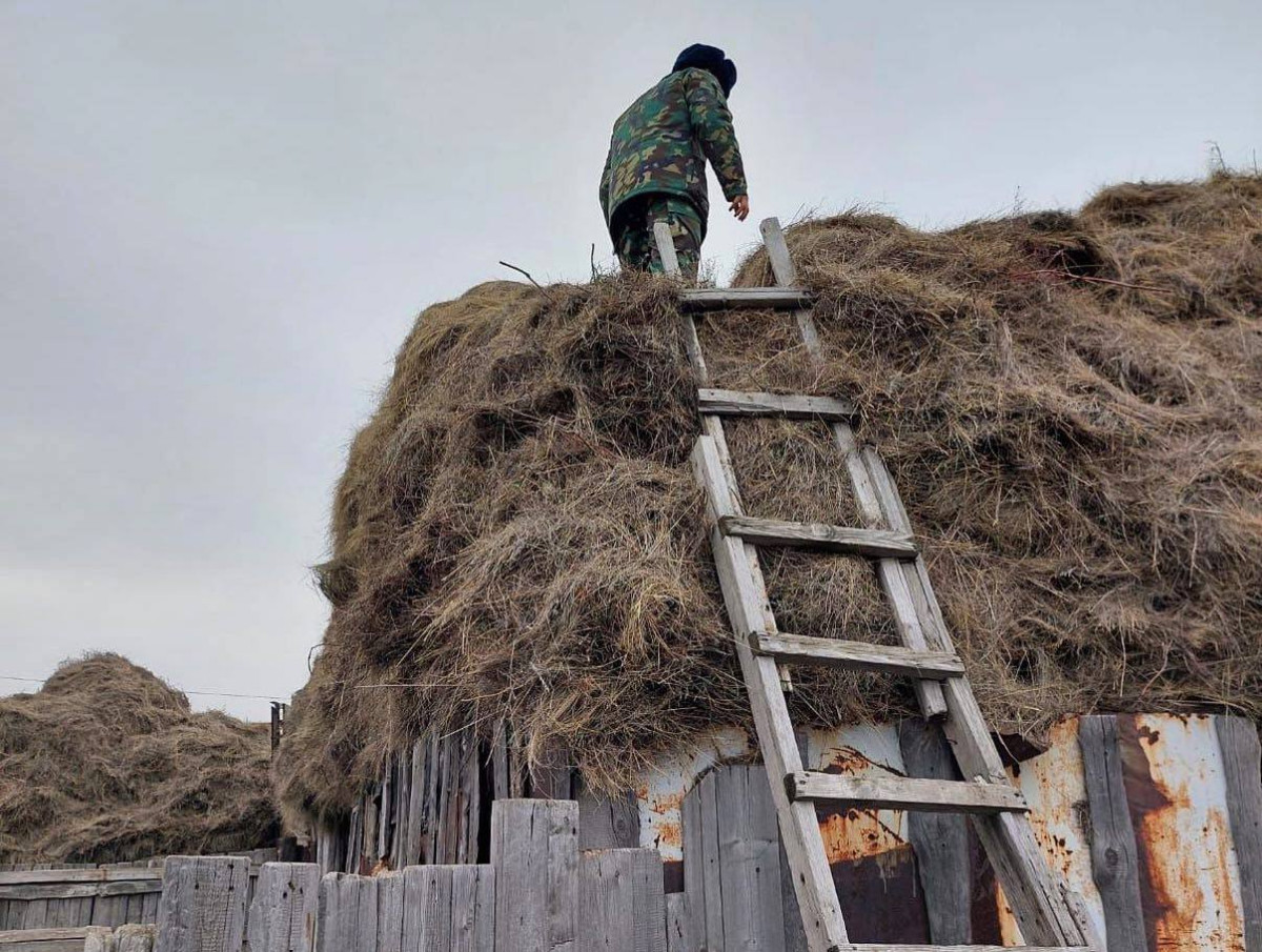 Фото: ДЧС Павлодарской области