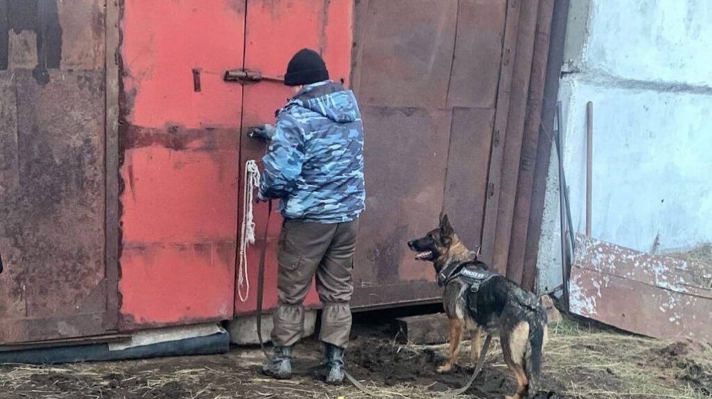 Фото: ДЧС Павлодарской области