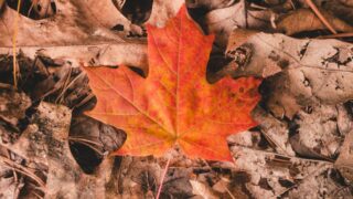 Ожидается туман и гололед в воскресенье в Казахстане