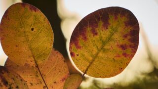 Почти по всему Казахстану ожидаются осадки