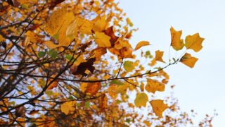 Погода без осадков ожидается в среду по всему Казахстану