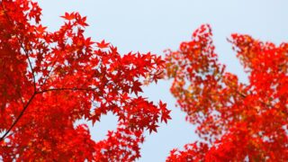 Дождь и снег в ноябре 2023 года. Прогноз погоды в РК на 3 дня