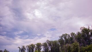 Штормовое предупреждение: сильный дождь и туман ожидаются в Алматы и 13 областях Казахстана