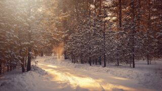 Синоптики обещают теплую зиму в Казахстане с ветром и буранами