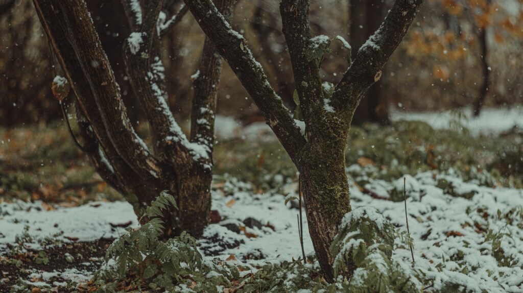 Фото: Vasilina Sirotina / Unsplash