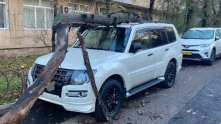 Спасатели обратились к жителям Алматы