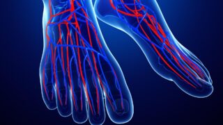 Ученые узнали, как по анализу мочи определить бессимптомные болезни сосудов