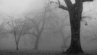 В 13 регионах Казахстана объявлено штормовое предупреждение