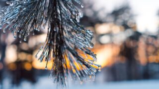 В Алматы прогнозируют мокрый снег