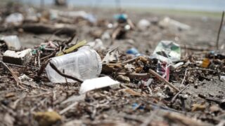 В Астане выявили возможные источники неприятного запаха на окраине города