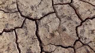 В Бразилии зарегистрирована рекордная температура