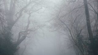 В Казахстане ожидается резкое изменение погоды: сильный ветер и гололед