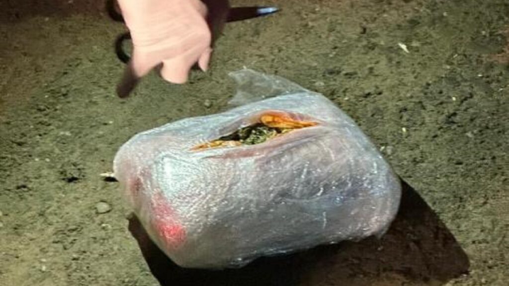 В ноябре силовыми органами было изъято 150 кг наркотиков и столько же веществ для изготовления синтетики - Bizmedia.kz