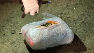 В ноябре силовыми органами было изъято 150 кг наркотиков и столько же веществ для изготовления «синтетики»