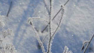 В пятницу по всему Казахстану пройдут дожди и снегопады