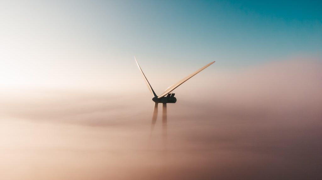 Фото: Unsplash