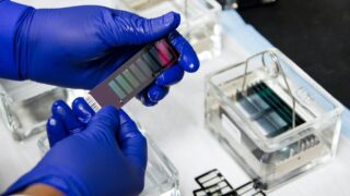 ВКО обнаружили захоронения с сибирской язвой недалеко от жилых домов и школы