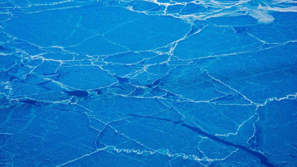 Фото: wirestock / Freepik