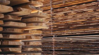 Бразильская компания Сузано купит лесные активы за 376 миллионов долларов