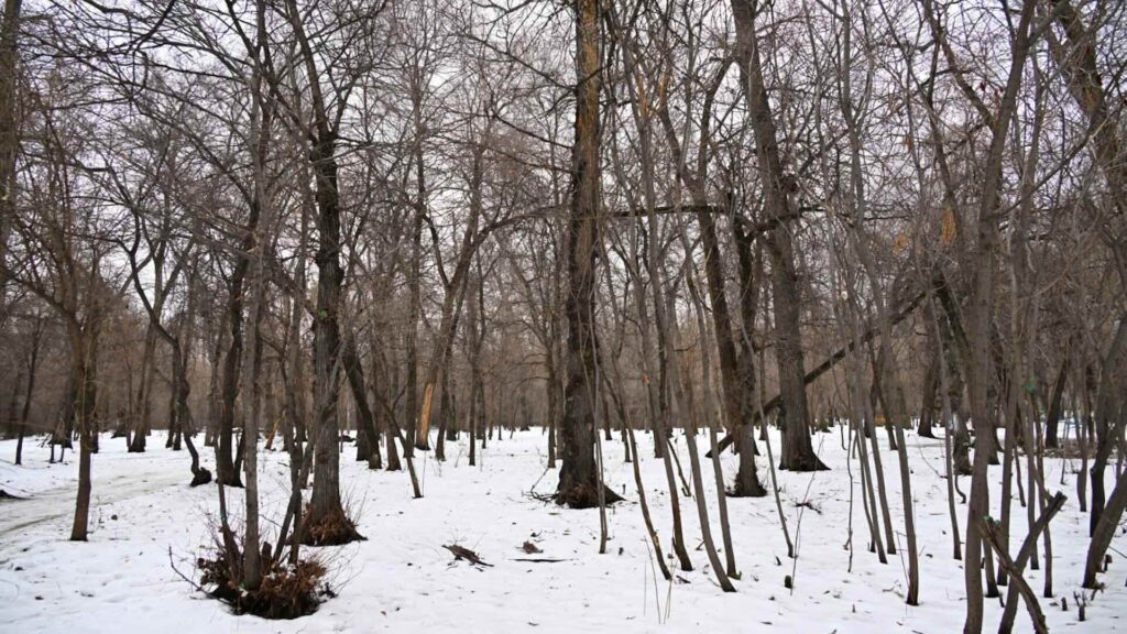 Фото: Акимат Алматы