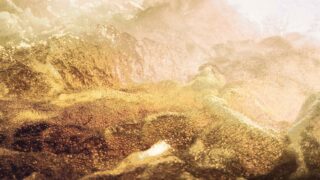 Цены на золото растут на фоне ослабления доллара и понижения доходности гособлигаций США