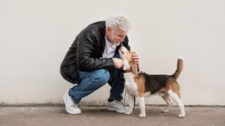 Домашние животные замедляют старение: ученые объяснили как это происходит