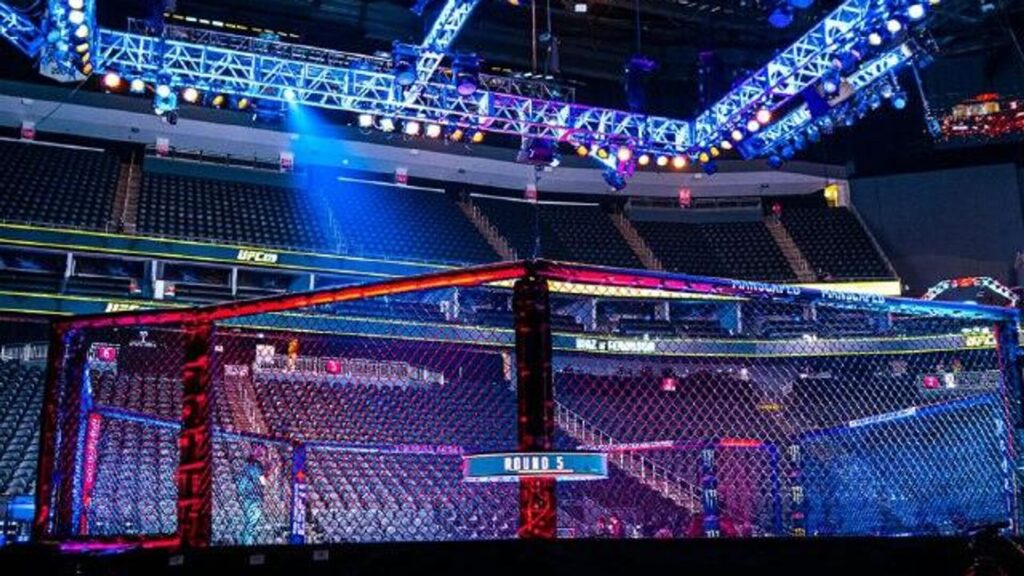 Фото: UFC Russia.