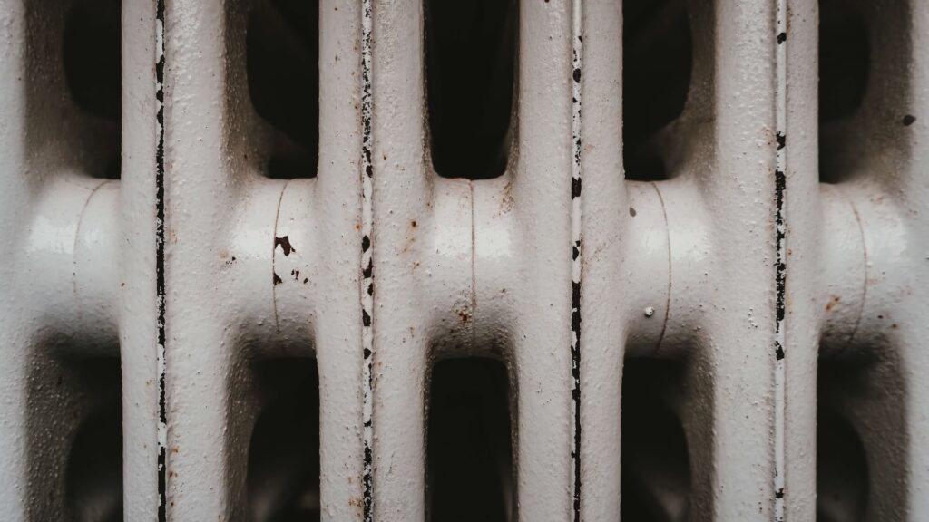 Фото: Unsplash