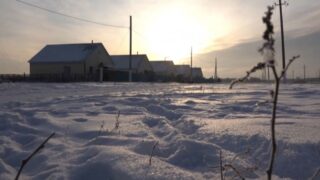 «Мертвые» села без единого жителя нашли в СКО