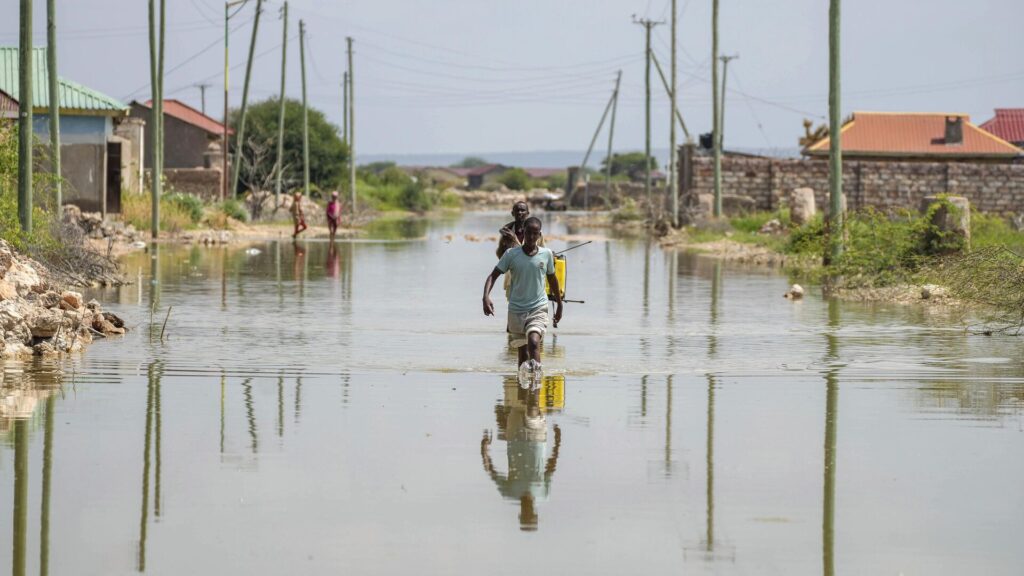 Фото: AP Photo/Brian Inganga.