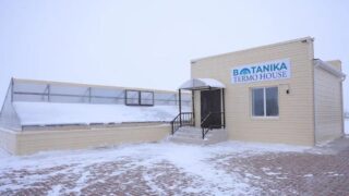 Новый способ выращивания арбузов и орхидей в подземной термоc-теплице начали применять в Караганде