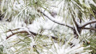 Ожидается дождь и снег в пятницу почти по всему Казахстану