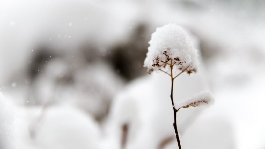 Фото: unsplash.com.