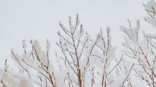 Ожидается снегопад и резкое похолодание до -18 градусов в Алматы к концу недели