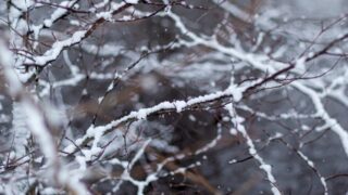 Ожидаются дожди и снегопады в ряде регионов Казахстана в среду