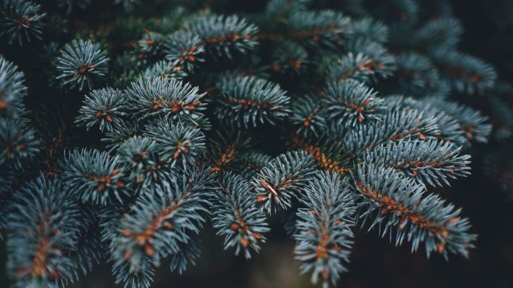 Фото: unsplash.com.
