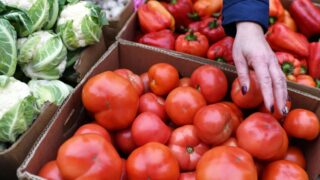 Предновогодняя ярмарка в Костанае пройдет 23 декабря