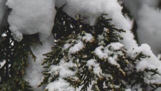 Прогнозируется снег во вторник в Алматы, Астане и Шымкенте — облачно