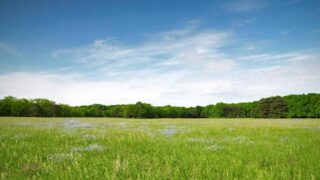 Прокуратура ЗКО вернула государству земельные участки общей стоимостью 253 млн тенге