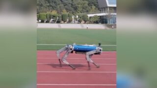 Робот HOUND установил рекорд Гиннесса по скорости забега на 100 метров