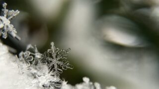 Школьники Астаны переходят на дистанционное обучение из-за сильного мороза