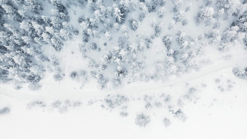 Фото: Unsplash