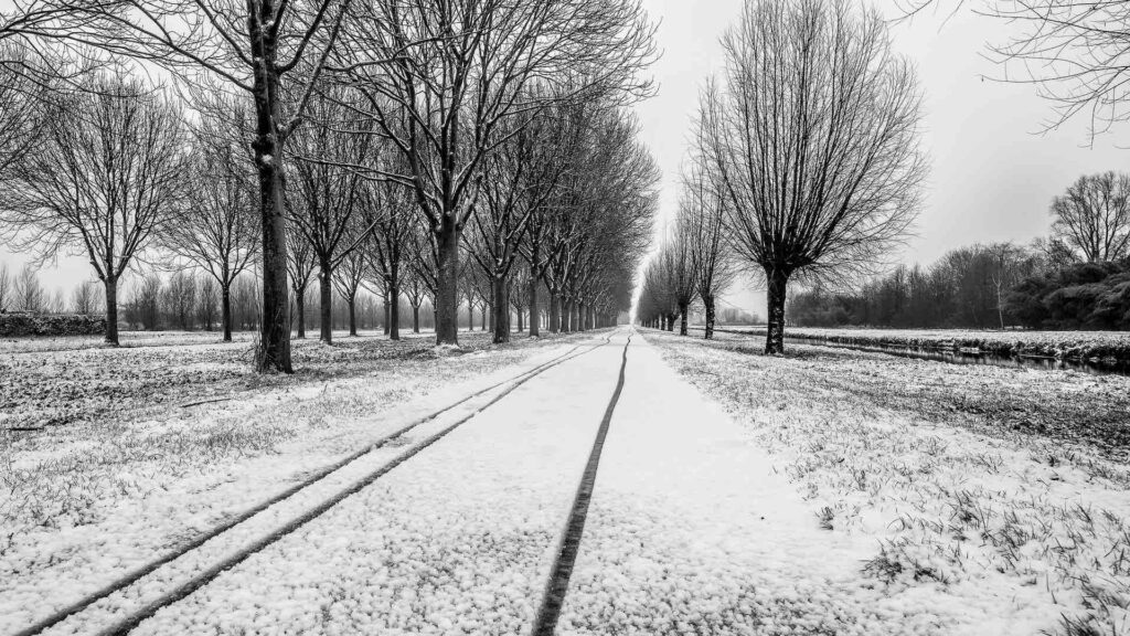 Фото: wirestock / Freepik