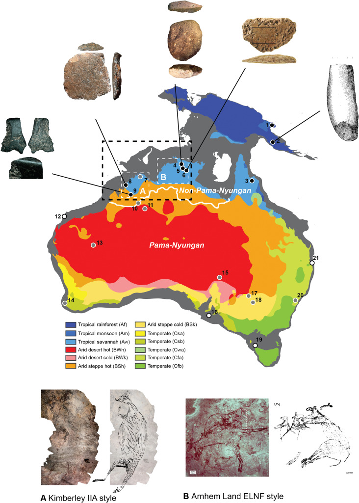 Фото: sciencedirect.com