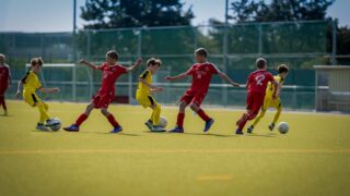 Дополнительные секции — необходимость для детей: что объяснил учёный