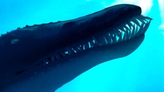 В Британии нашли колоссальный череп морского чудовища на ‘Юрском побережье’