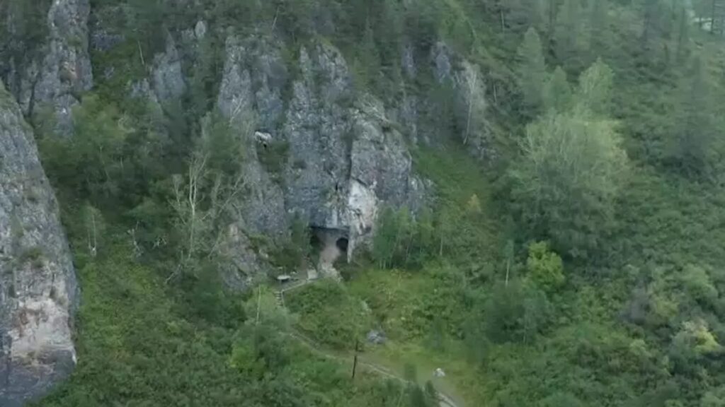 Фото: кадр из видео